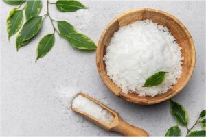 cinnamomum camphora common name camphor tree : karpura extract