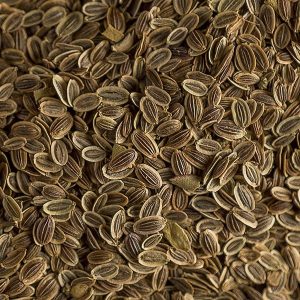 anethum graveolens (dill seeds)